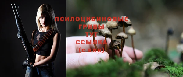 ALPHA PVP Баксан