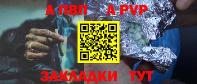 стафф Камышлов
