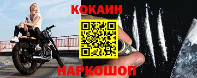 стафф Камышлов