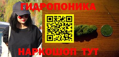 стафф Камышлов