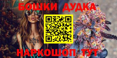 стафф Камышлов