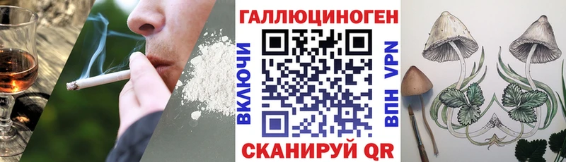 купить   Губаха  Галлюциногенные грибы Psilocybine cubensis 